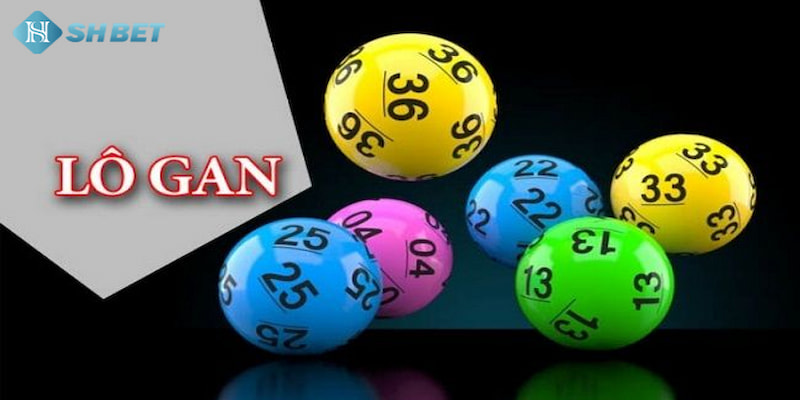 Banner www.sexyforever.vn