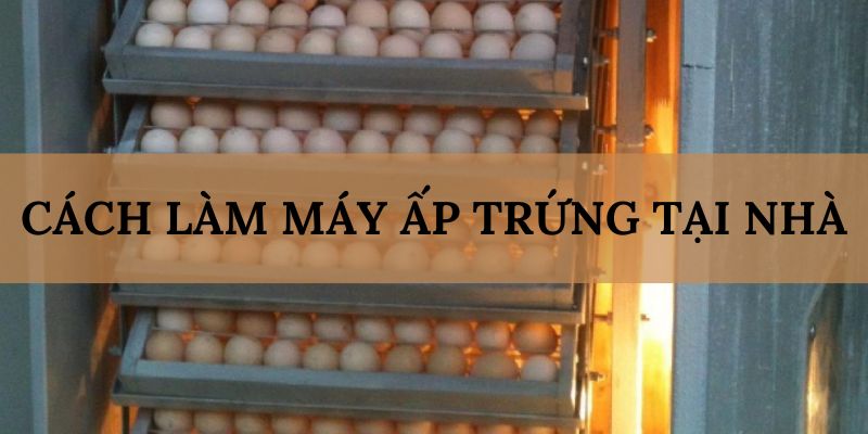 Banner www.sexyforever.vn