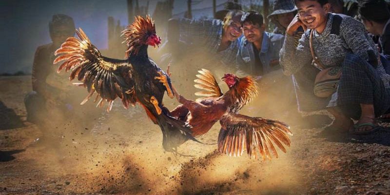 Banner www.sexyforever.vn