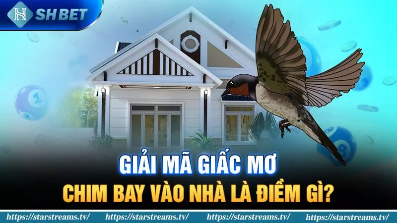 Banner www.sexyforever.vn