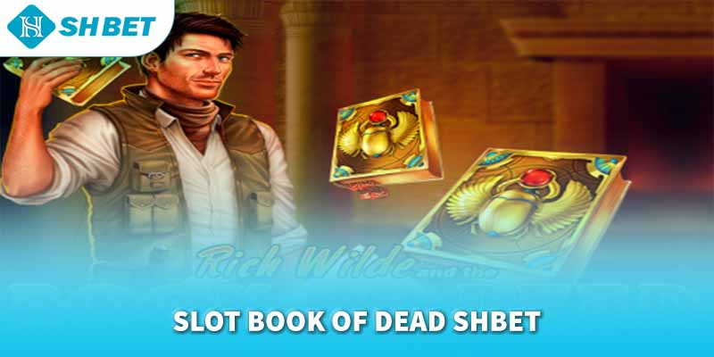 Banner www.sexyforever.vn