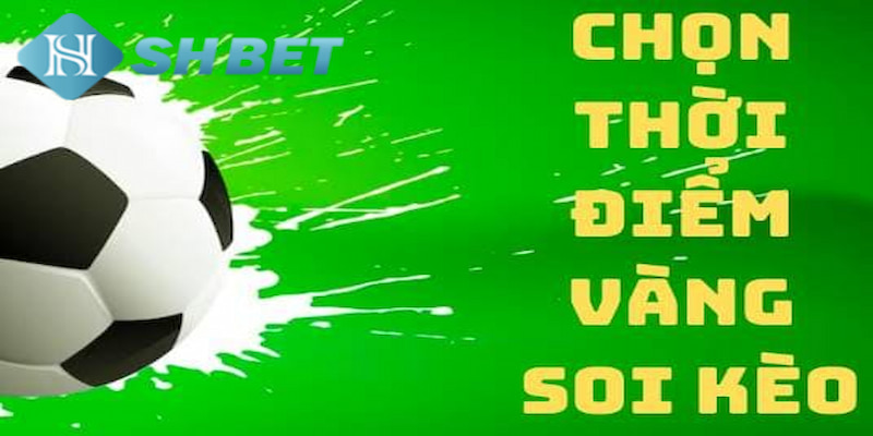 Banner www.sexyforever.vn